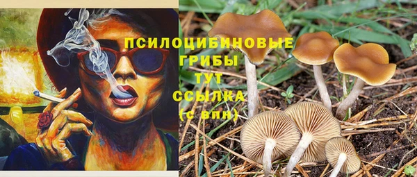 тгк Осташков