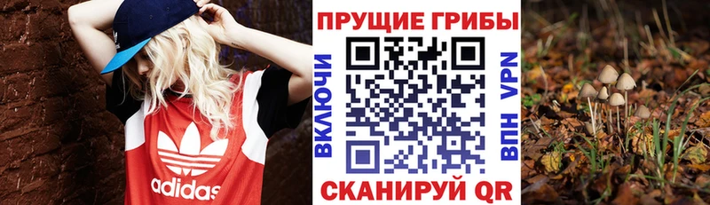 Псилоцибиновые грибы ЛСД  Вичуга 
